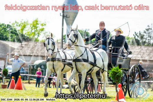 Mintakép 20260509-340