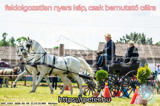 Mintakép 20260509-344