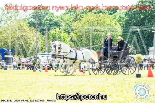 Mintakép 20260509-346
