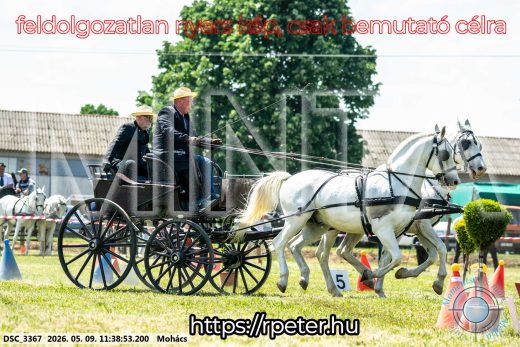 Mintakép 20260509-350