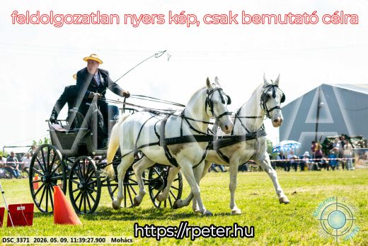 Mintakép 20260509-354