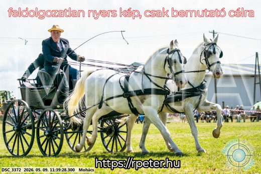 Mintakép 20260509-355