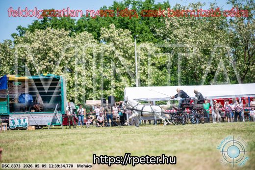 Mintakép 20260509-357