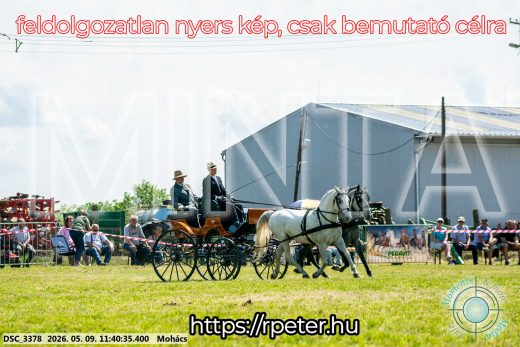Mintakép 20260509-361