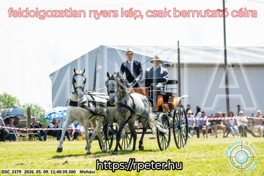Mintakép 20260509-362