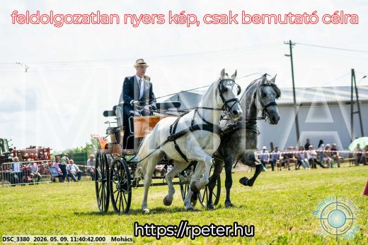 Mintakép 20260509-363