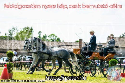 Mintakép 20260509-366