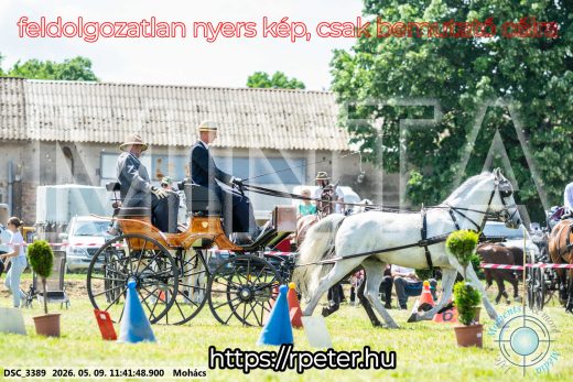 Mintakép 20260509-370