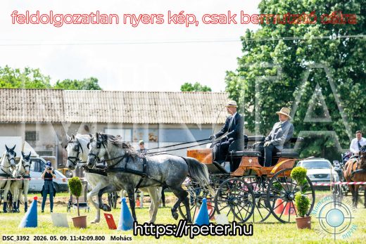 Mintakép 20260509-371