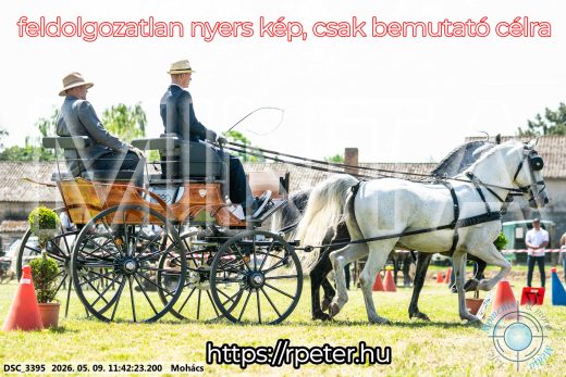 Mintakép 20260509-374