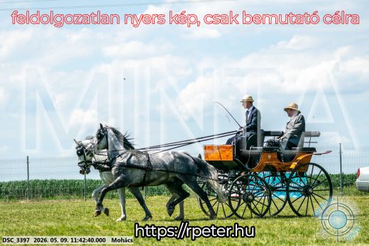 Mintakép 20260509-375