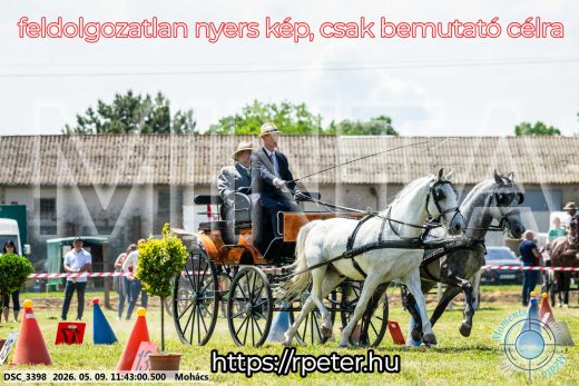 Mintakép 20260509-376