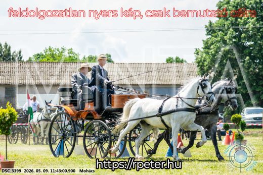 Mintakép 20260509-377