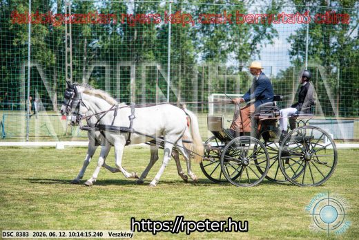 Mintakép 20260612-383