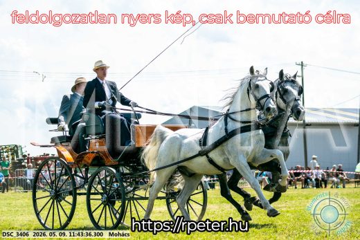 Mintakép 20260509-381