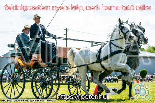 Mintakép 20260509-382