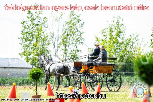 Mintakép 20260509-384
