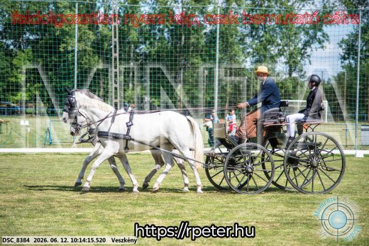 Mintakép 20260612-384