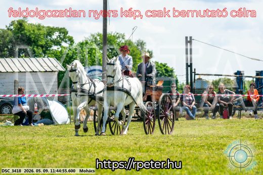 Mintakép 20260509-389