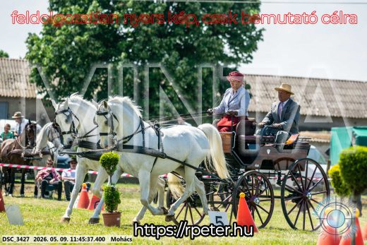 Mintakép 20260509-396