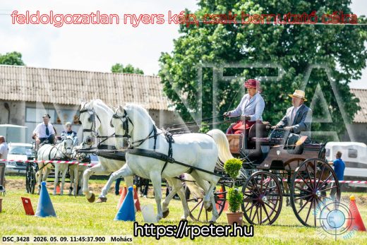 Mintakép 20260509-397