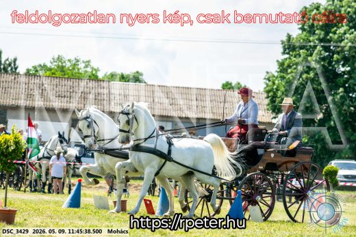 Mintakép 20260509-398