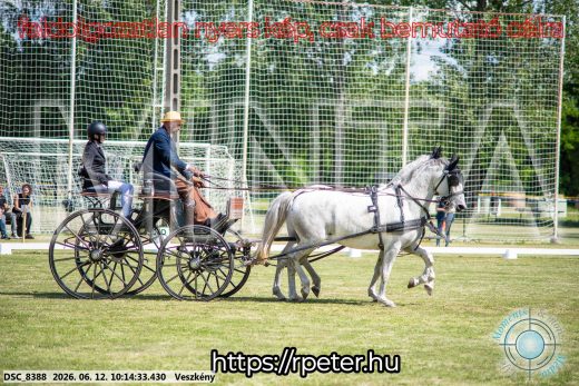 Mintakép 20260612-385