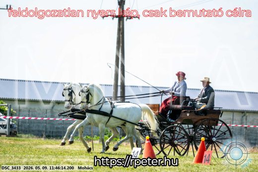 Mintakép 20260509-399