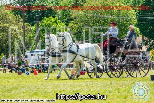 Mintakép 20260509-402