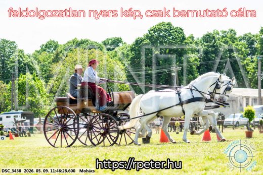 Mintakép 20260509-404