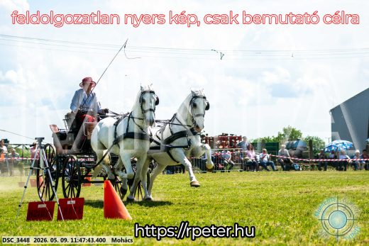 Mintakép 20260509-408