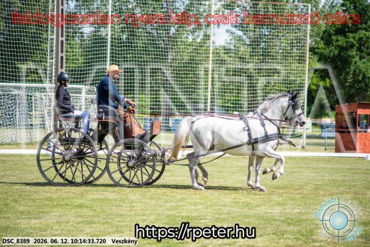 Mintakép 20260612-386