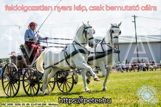 Mintakép 20260509-409