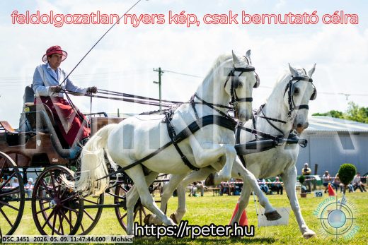 Mintakép 20260509-410