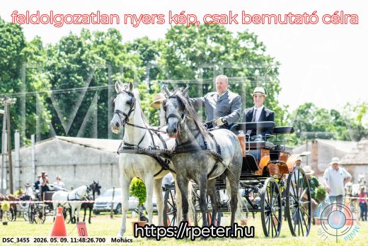 Mintakép 20260509-414
