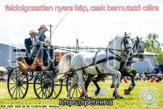 Mintakép 20260509-416