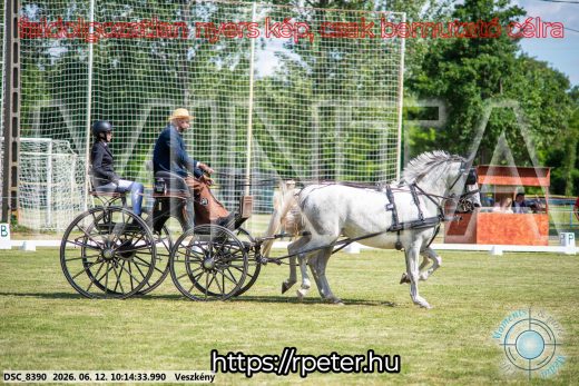 Mintakép 20260612-387