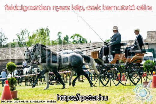Mintakép 20260509-420