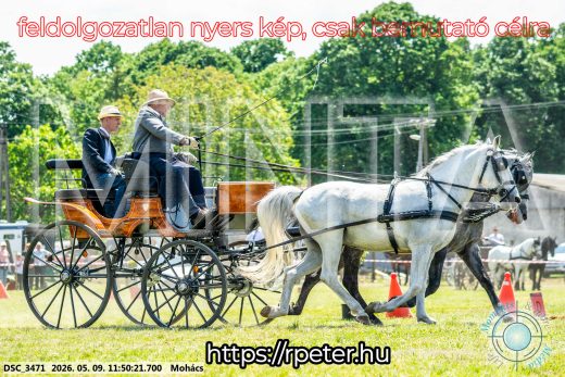 Mintakép 20260509-422