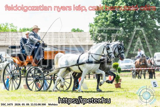 Mintakép 20260509-425