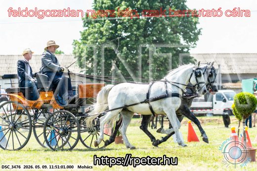 Mintakép 20260509-426