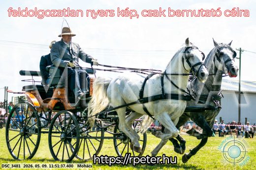 Mintakép 20260509-430