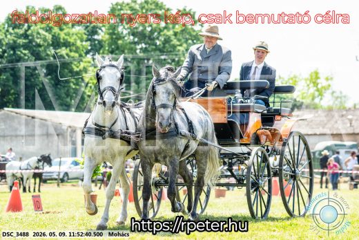 Mintakép 20260509-431