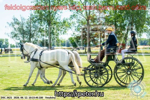 Mintakép 20260612-389