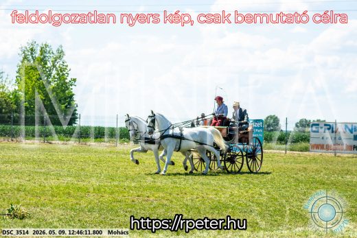 Mintakép 20260509-442