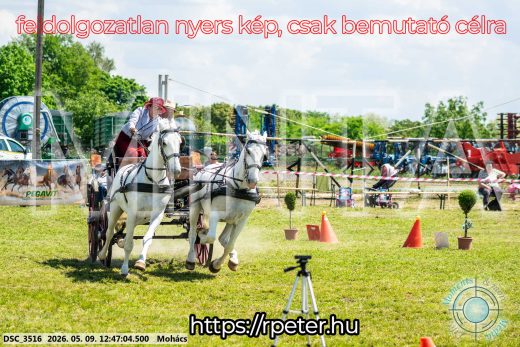 Mintakép 20260509-445
