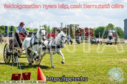 Mintakép 20260509-446