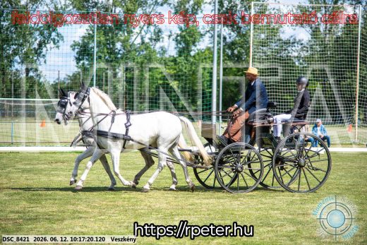 Mintakép 20260612-390
