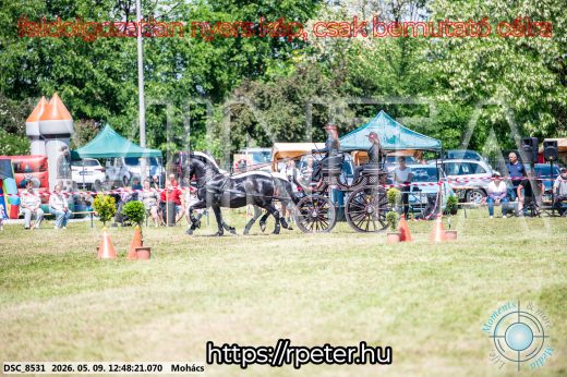 Mintakép 20260509-449
