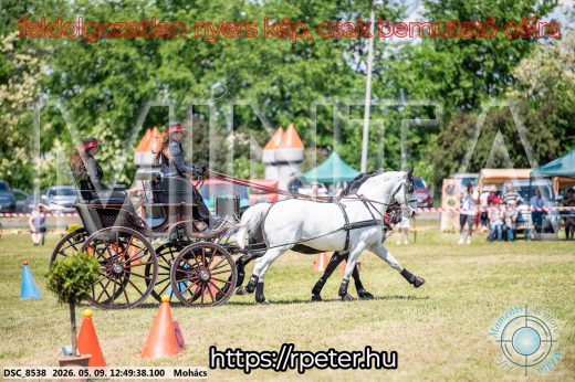 Mintakép 20260509-455